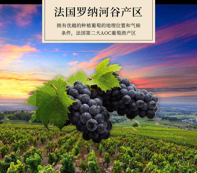 详情页5_副本.jpg