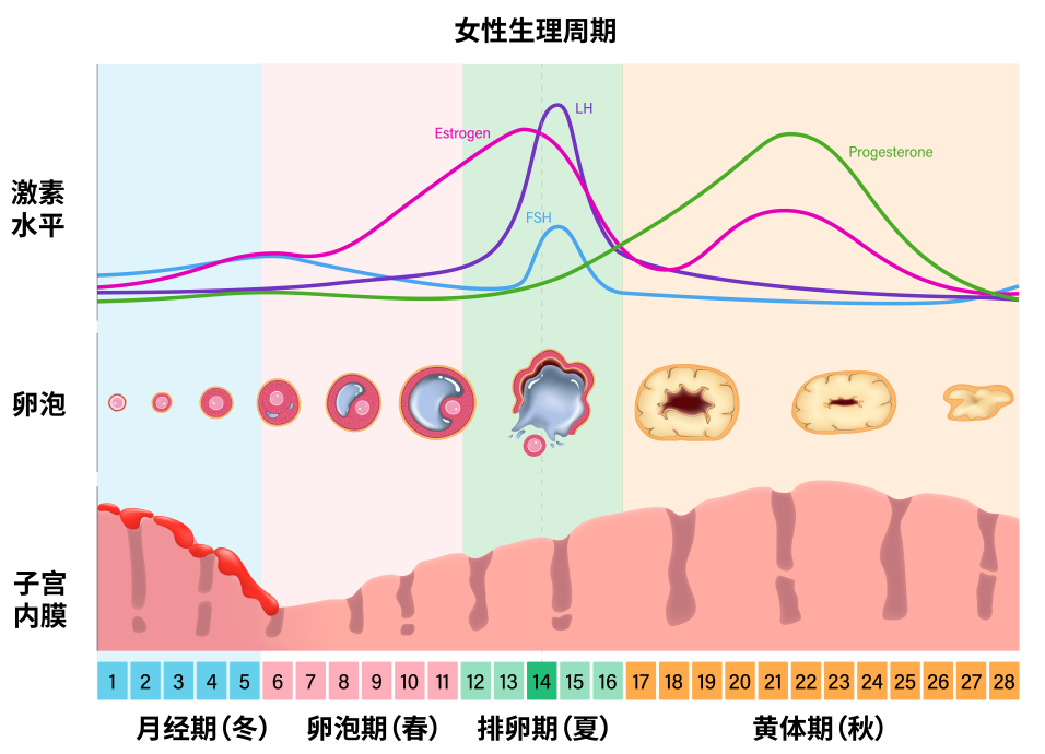 88ece0fef41151dd90da9403df9c21ad.png