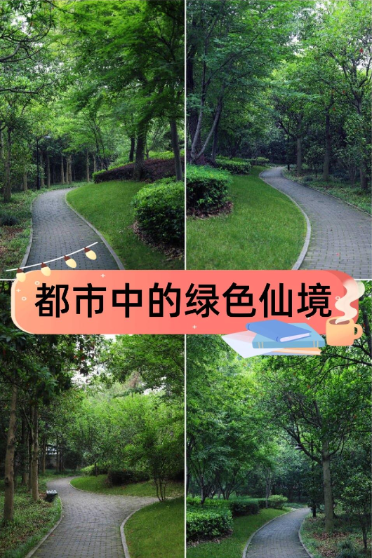 6775f026d46ac.png
