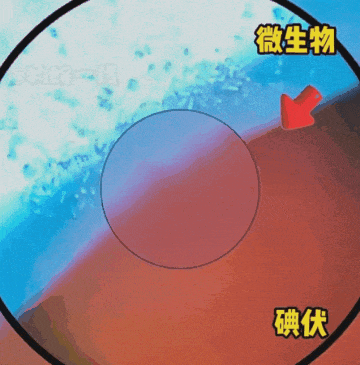 310ed437c0ad249d7308c958eaf1c89b.gif