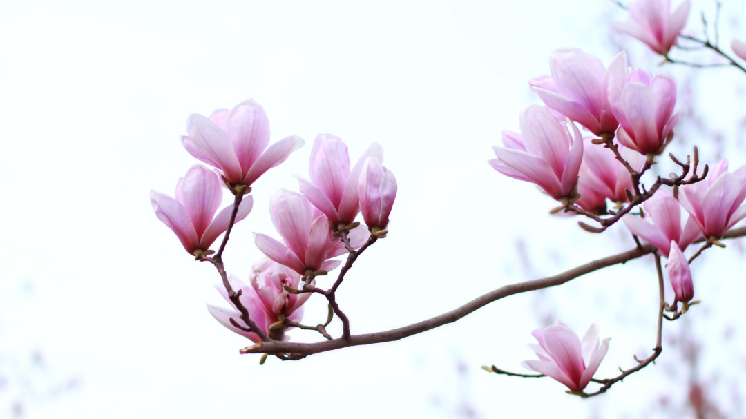 0ffb5052ca0f0260a2a8720abadb07d4.png