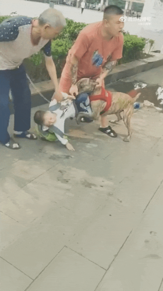 17ea40af010fdc42d85ddce7d5f57ce6.gif