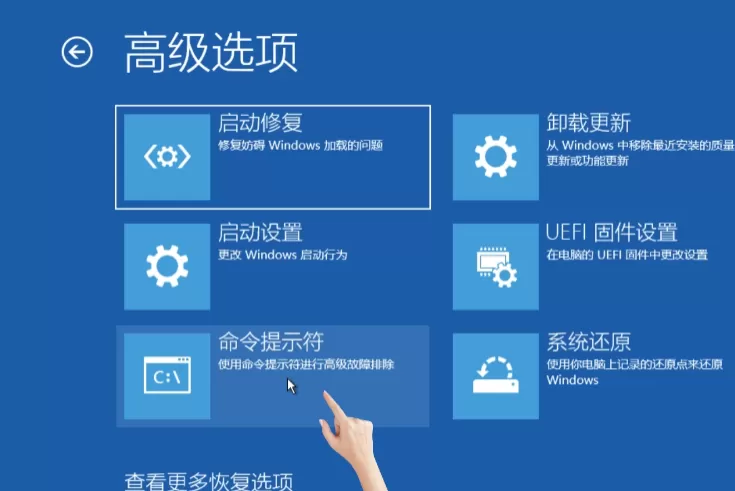 image.webp