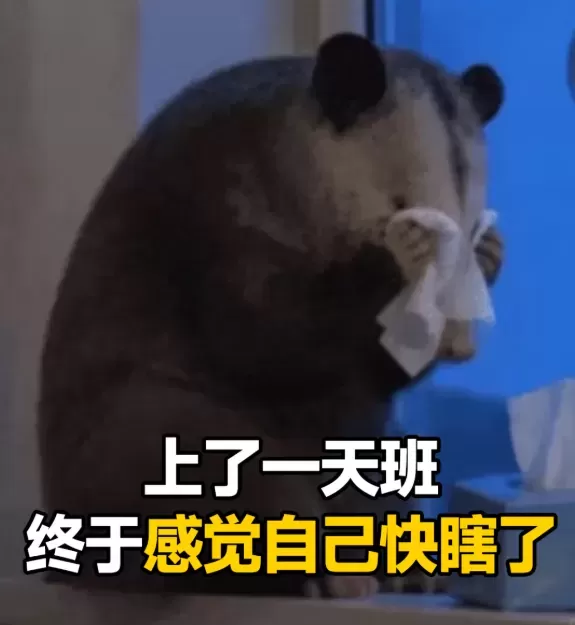 image.webp
