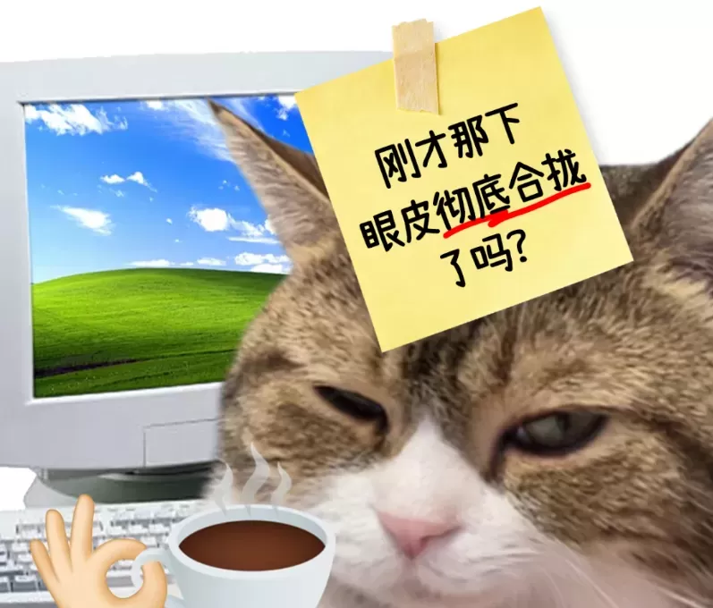 image.webp